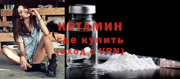 стаф Касимов