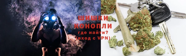 стаф Касимов