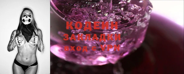 стаф Касимов