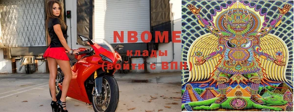 стаф Касимов