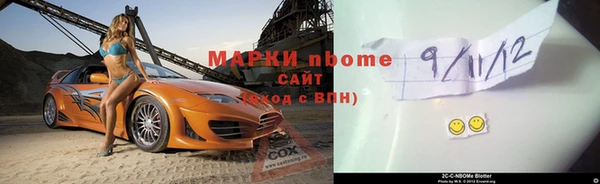 стаф Касимов
