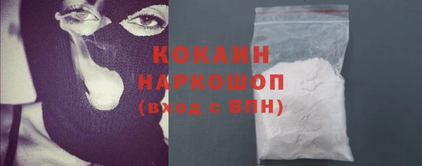 стаф Касимов