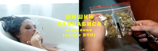 стаф Касимов