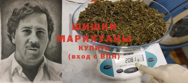 стаф Касимов